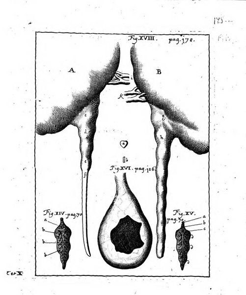 Miscellanea curiosa medico-physica Academiae naturae curiosorum sive ephemeridum medico-physicarum Germanicarum..