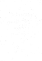 giornale/TO00200465/1776/unico/00000008