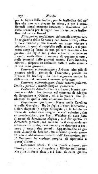 Nuovo giornale dei letterati