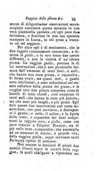 Nuovo giornale dei letterati