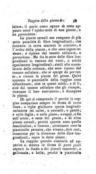 Nuovo giornale dei letterati