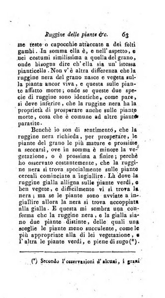 Nuovo giornale dei letterati