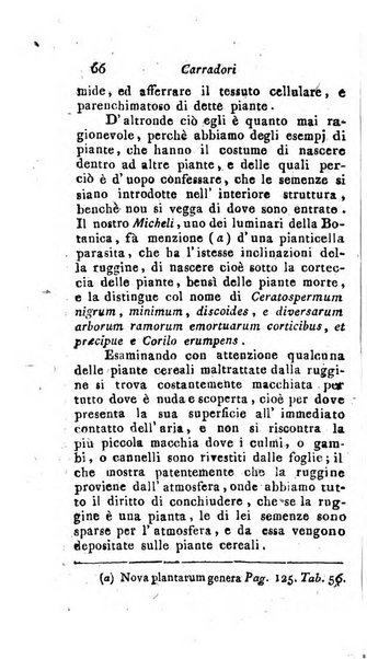 Nuovo giornale dei letterati