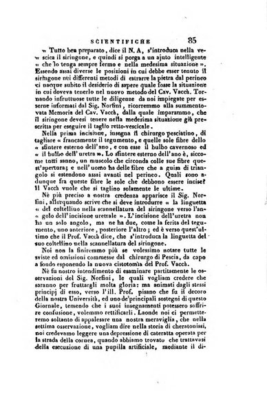 Nuovo giornale de' letterati