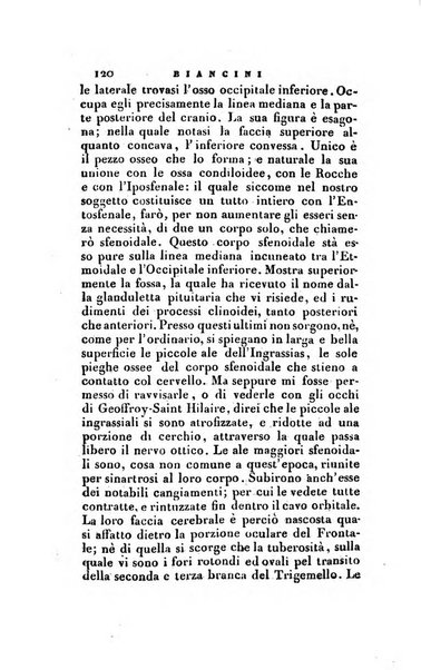 Nuovo giornale de' letterati