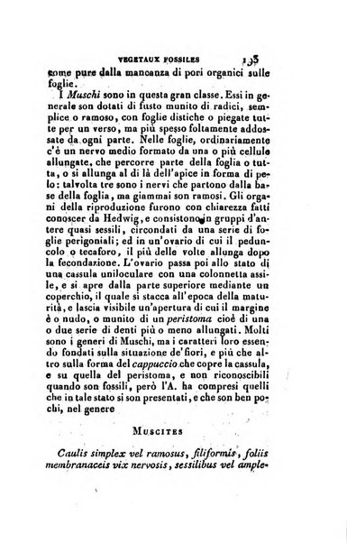 Nuovo giornale de' letterati