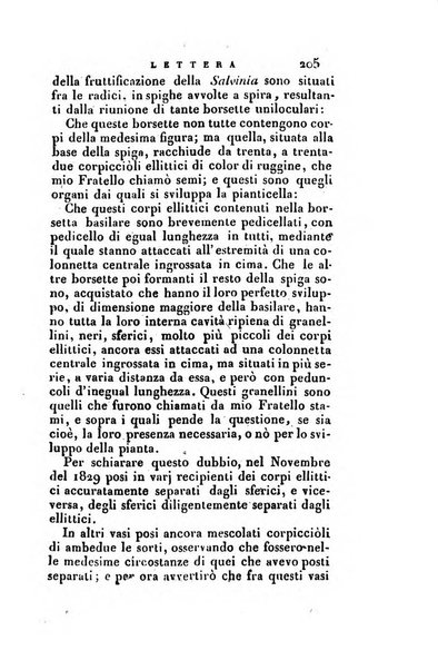 Nuovo giornale de' letterati