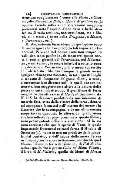 Nuovo giornale de' letterati