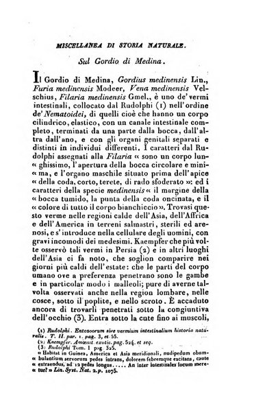 Nuovo giornale de' letterati