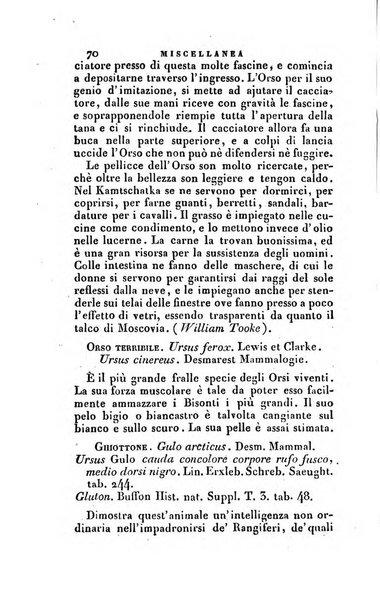 Nuovo giornale de' letterati