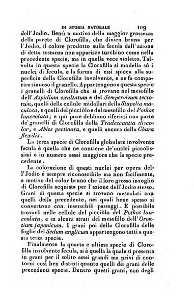 Nuovo giornale de' letterati