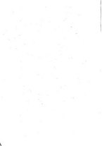 giornale/TO00200518/1838/T.37/00000310