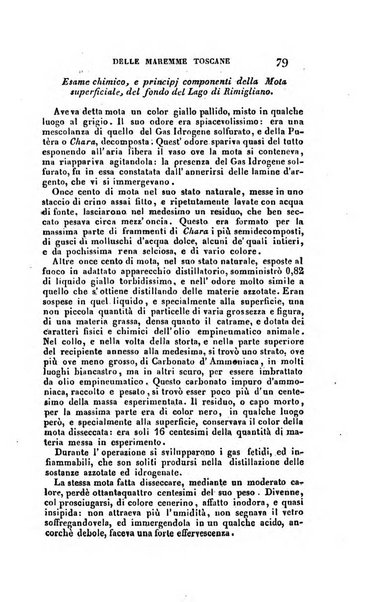 Nuovo giornale de' letterati