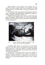 giornale/TO00200954/1940/unico/00000147