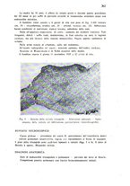 giornale/TO00200954/1940/unico/00000403