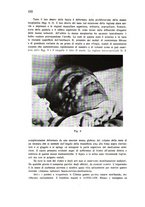 giornale/TO00200954/1941/unico/00000416