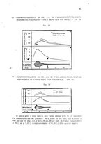 giornale/TO00200954/1943/unico/00000055