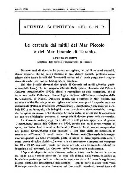 Ricerca scientifica e ricostruzione rivista del Consiglio nazionale delle ricerche