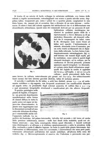 Ricerca scientifica e ricostruzione rivista del Consiglio nazionale delle ricerche