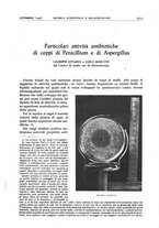 giornale/TO00201535/1946/V.2/00001197