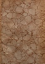 giornale/TO00201537/1908/unico/00000003