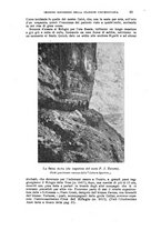 giornale/TO00201537/1908/unico/00000049