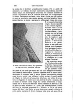 giornale/TO00201537/1908/unico/00000316