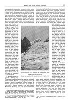 giornale/TO00201537/1913/unico/00000133