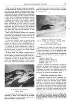 giornale/TO00201537/1913/unico/00000173