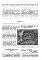 giornale/TO00201537/1914/unico/00000127