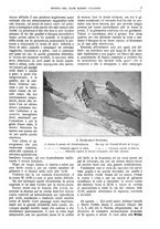 giornale/TO00201537/1915/unico/00000039