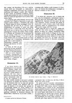 giornale/TO00201537/1917/unico/00000081
