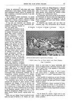 giornale/TO00201537/1917/unico/00000089