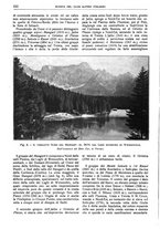 giornale/TO00201537/1917/unico/00000134