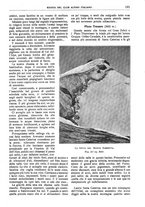giornale/TO00201537/1917/unico/00000221