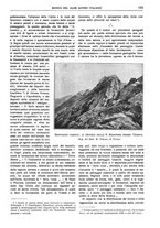 giornale/TO00201537/1917/unico/00000229