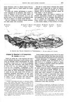 giornale/TO00201537/1917/unico/00000239