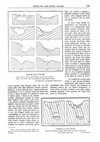 giornale/TO00201537/1917/unico/00000279