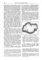 giornale/TO00201537/1917/unico/00000282