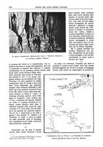 giornale/TO00201537/1917/unico/00000284