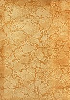 giornale/TO00201537/1919/unico/00000002