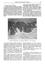 giornale/TO00201537/1921/unico/00000065