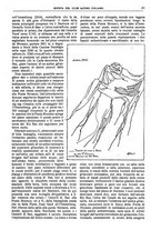 giornale/TO00201537/1921/unico/00000067