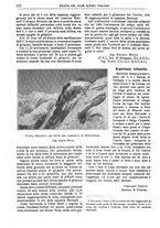giornale/TO00201537/1922/unico/00000272