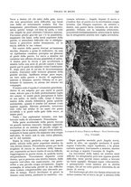 giornale/TO00201537/1924/unico/00000187
