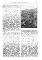 giornale/TO00201537/1931/unico/00000371