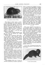 giornale/TO00201537/1931/unico/00000509