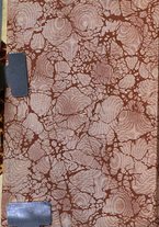 giornale/TO00201926/1908/unico/00000002