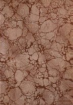 giornale/TO00201926/1908/unico/00000003