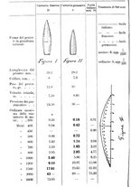 giornale/TO00201926/1910/unico/00000332